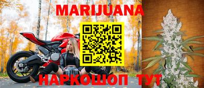 индика Ирбит