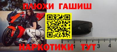 индика Ирбит
