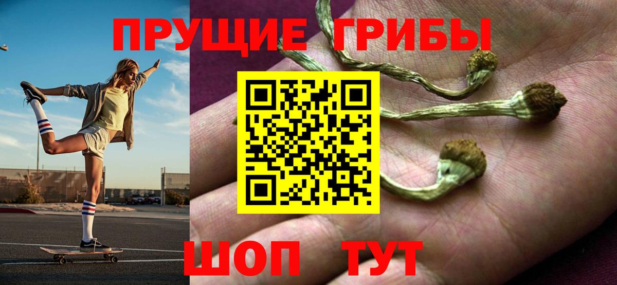Курганинск  Галлюциногенные грибы мухоморы  Вход с VPN 